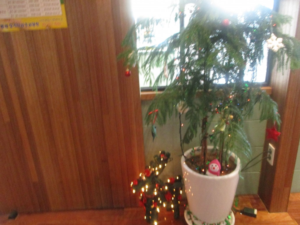 e5d6e306ca735786ce55c5c29057bf50_1576817